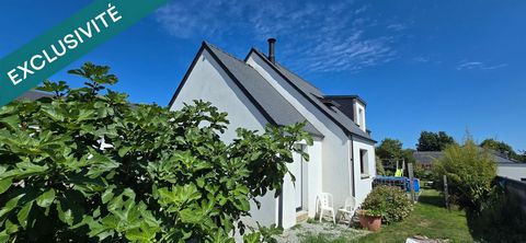 photo no. 10