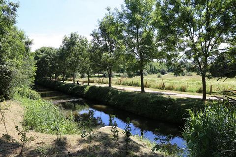 photo no. 10