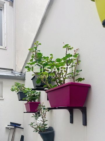photo no. 11