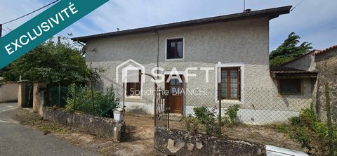 photo no. 10