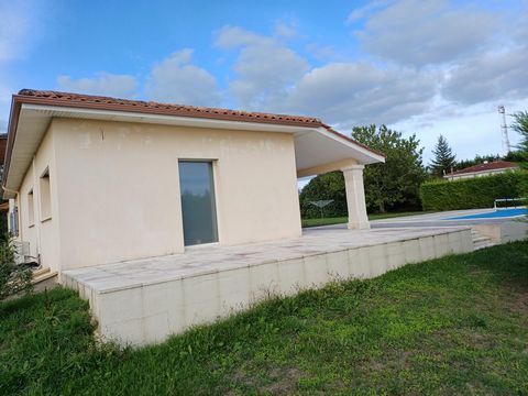 photo no. 9