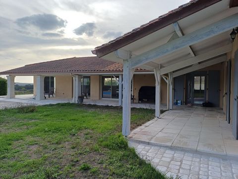 photo no. 13