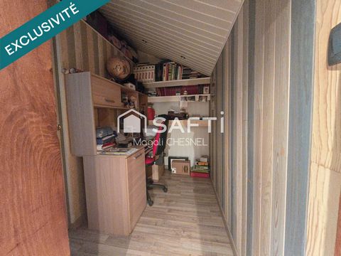 photo no. 11