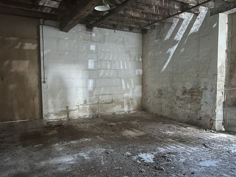 photo no. 16