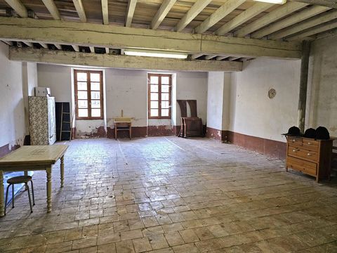photo no. 11