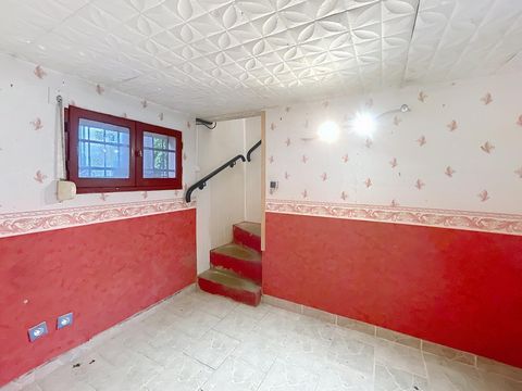 photo no. 12