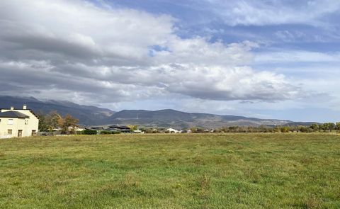 photo no. 5