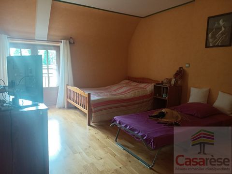 photo no. 7