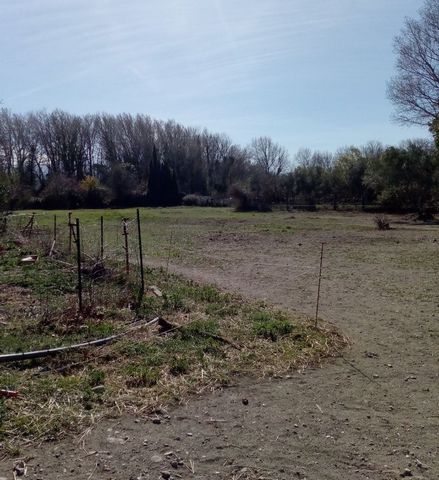 photo no. 6