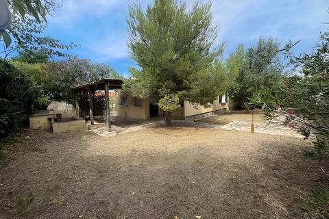 Maison 3 chambre sur beau terrain arboré
