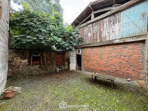 photo no. 10