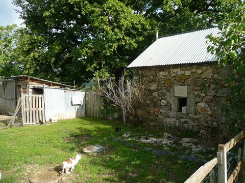photo no. 32