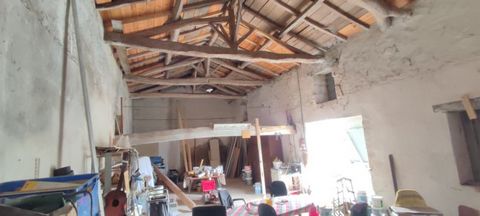 photo no. 4