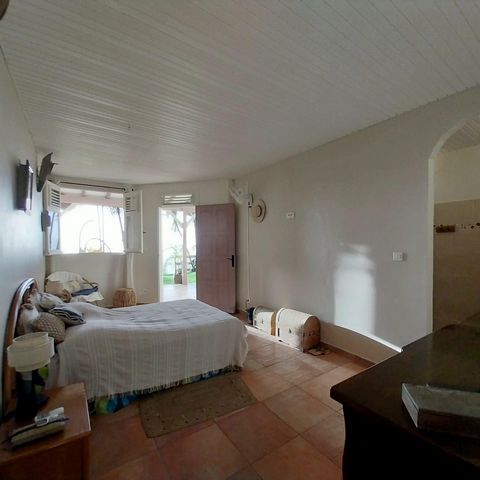 photo no. 9