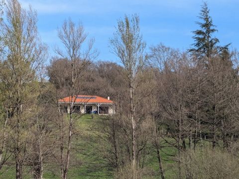photo no. 19