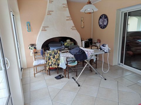 photo no. 12