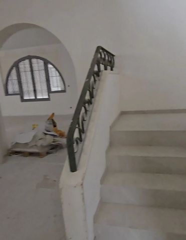 photo no. 9