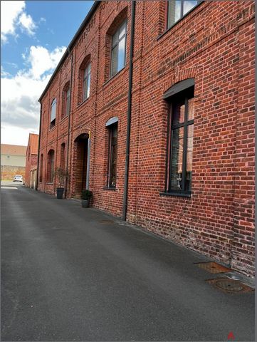 Appartement Loft lumineux