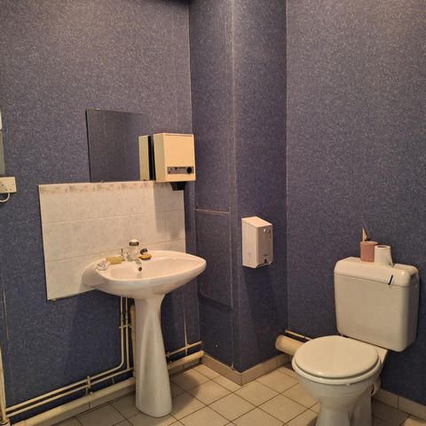 photo no. 5