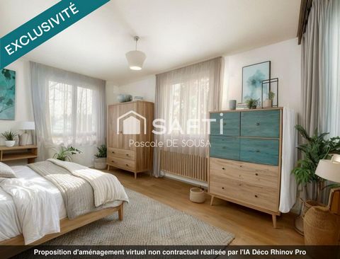 photo no. 12