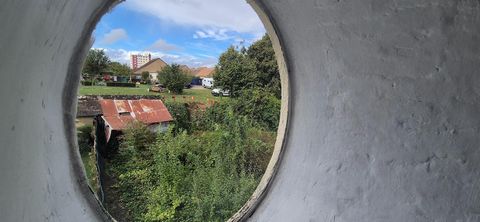 photo no. 5