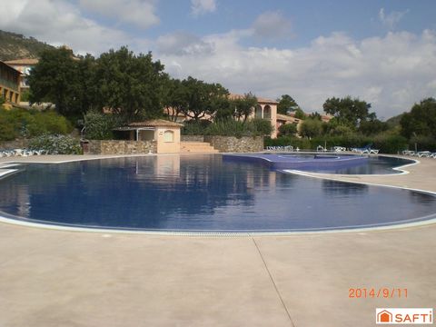 photo no. 12