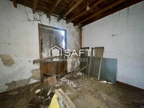 photo no. 2