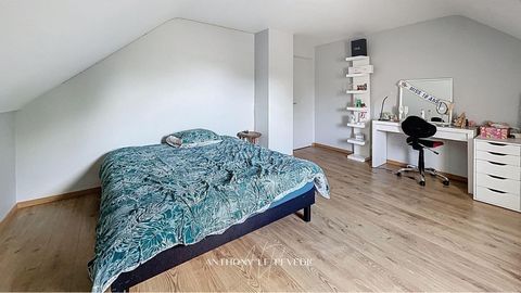 photo no. 13