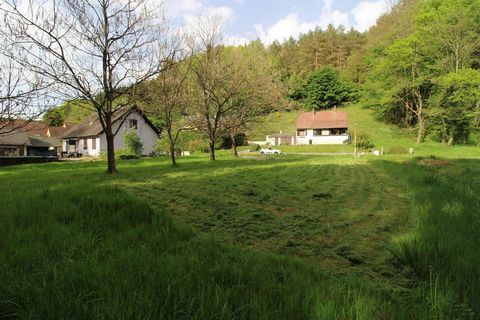photo no. 4
