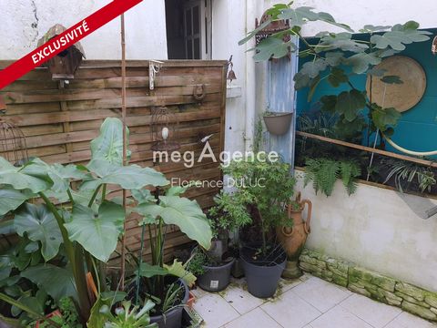 photo no. 11