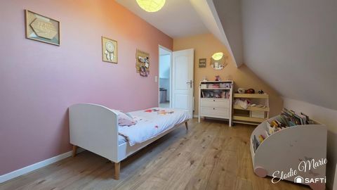 photo no. 13