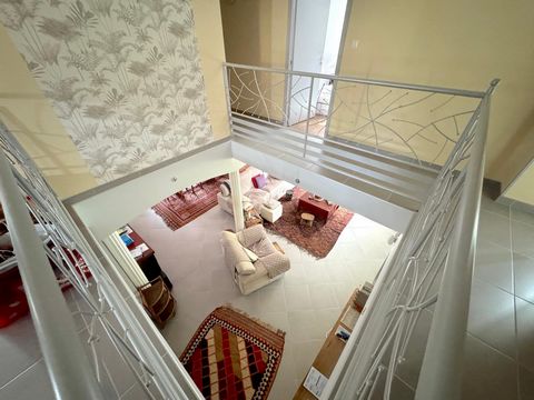 photo no. 7