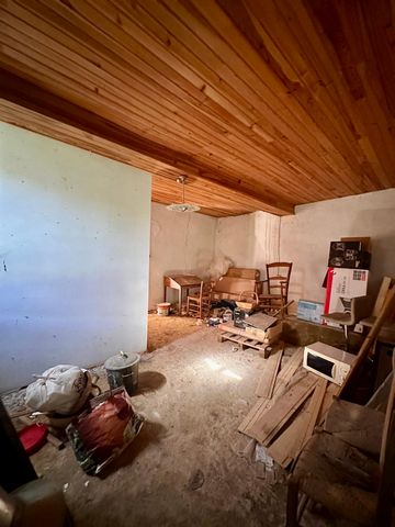photo no. 16