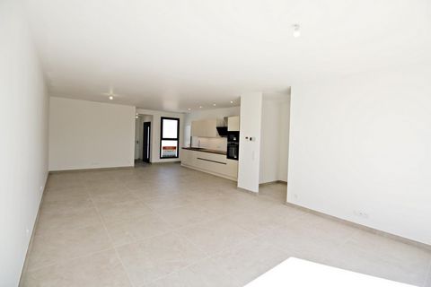 photo no. 5