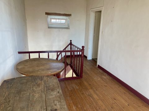 photo no. 17