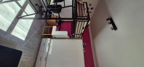 photo no. 8