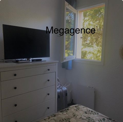 photo no. 6