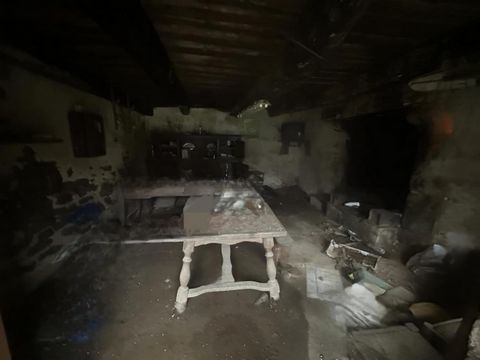 photo no. 4