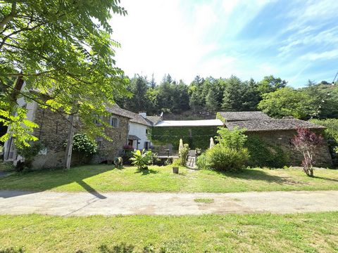Ancien moulin, Tiny House et dépendances - La Primaube