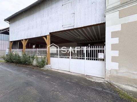 photo no. 12