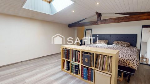 photo no. 12