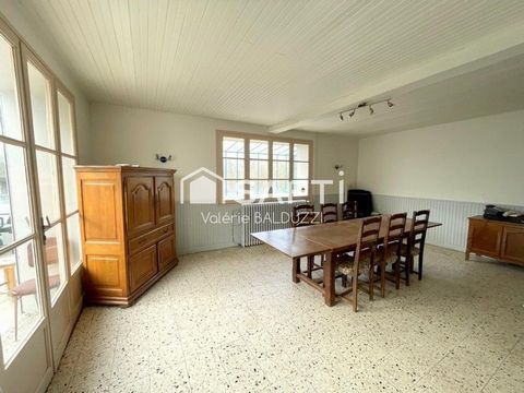 photo no. 9
