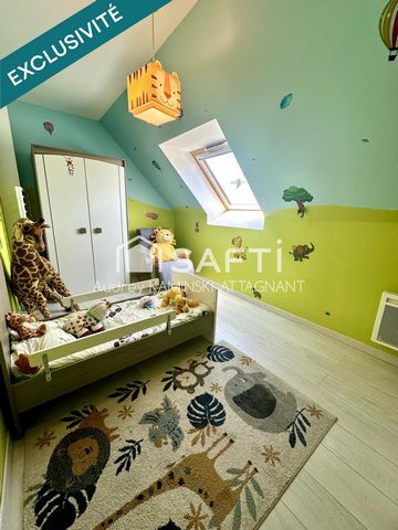photo no. 11