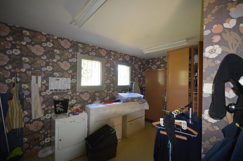 photo no. 15