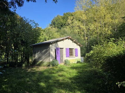 Maisonnette avec garage et dépendance - Arvieu
