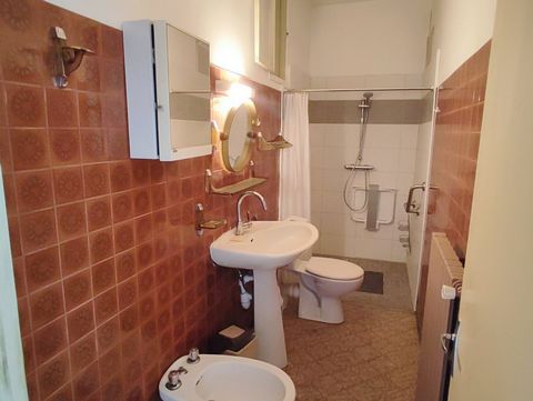 photo no. 10