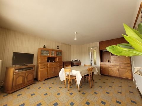 photo no. 8