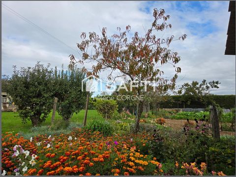 photo no. 10