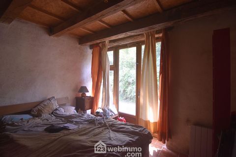 photo no. 6