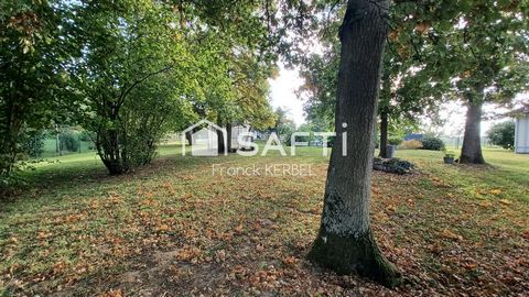 photo no. 16